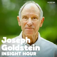 Ep. 252 – Equanimity: A Direct Path to Liberation