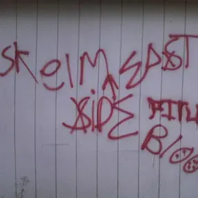 ASIAN STREET WALKERS