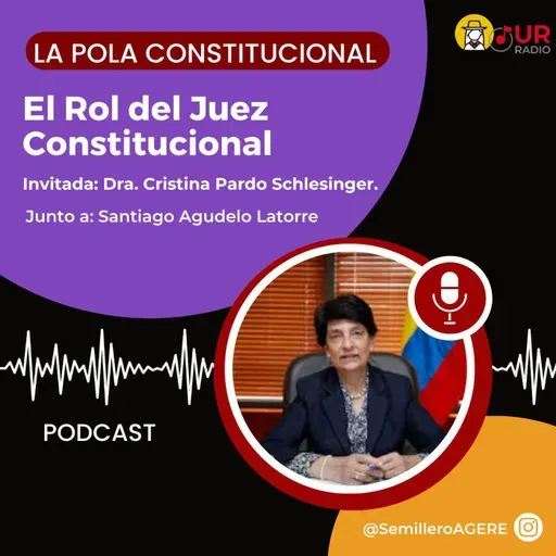El Rol del Juez Constitucional.