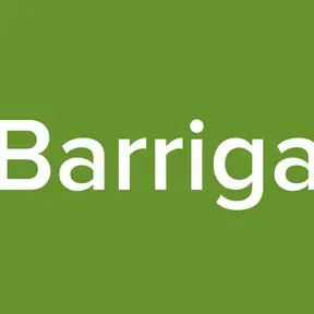 Barriga