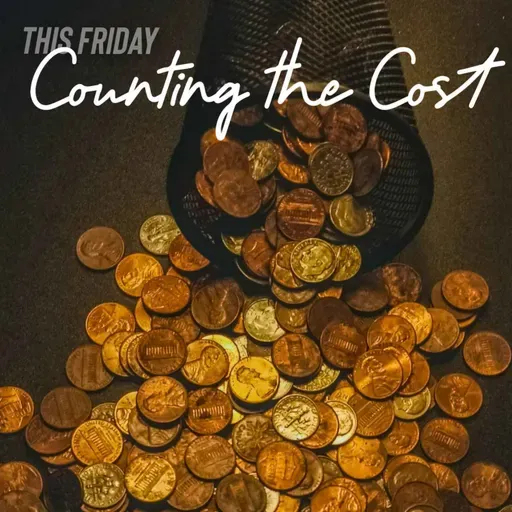 Counting The Cost (Ray Booysen)