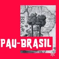 Pau-Brasil
