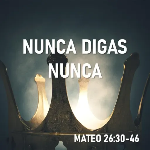 Nunca digas nunca