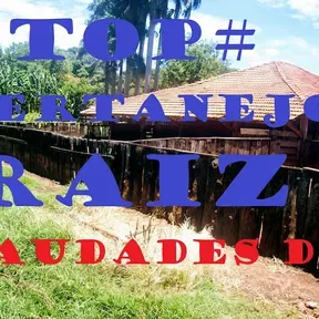 TOP SERTANEJO RAIZ - SAUDADES DO MEU SERTÃO