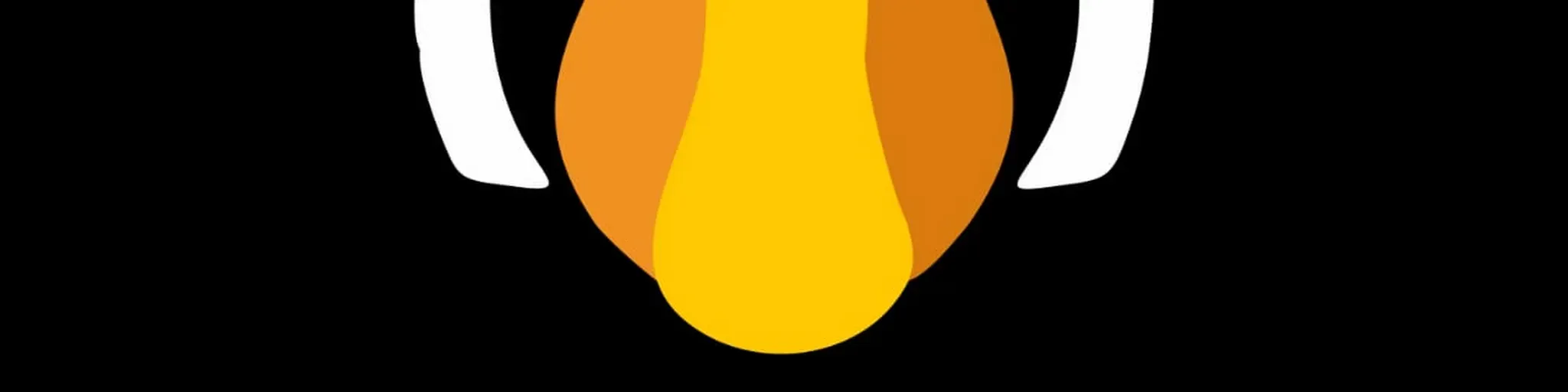 Goose Web Radio