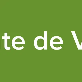 Fonte de Vida