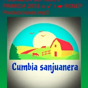 Cumbia sanjuanera 🎸