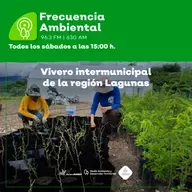 Episodio 209. Vivero intermunicipal de la región Lagunas