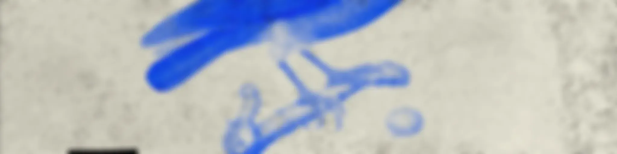 Галкино гнездо