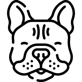 Salsónica