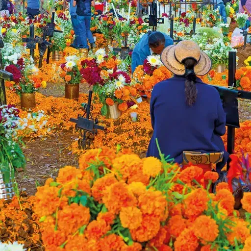 La paz que da entender qué es la muerte | Fieles difuntos | 187