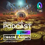 آشنایی با اصطلاحات (NGMI و WAGMI)