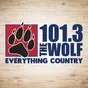 101.3 The Wolf - WCPV