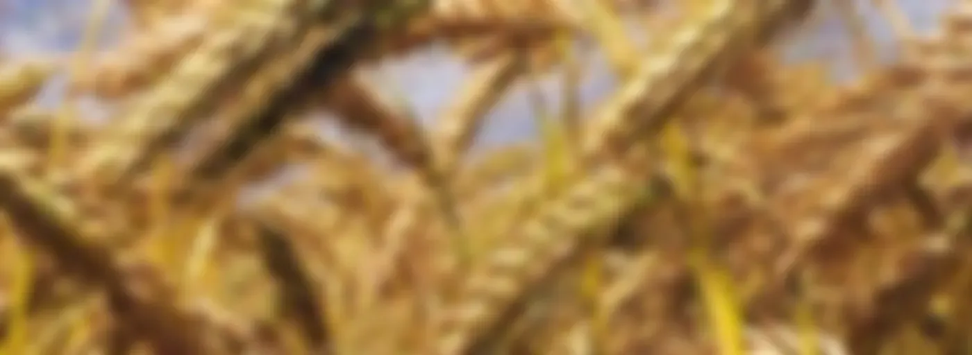 Podcast de Gabriel Alberto Giraldo Guerre