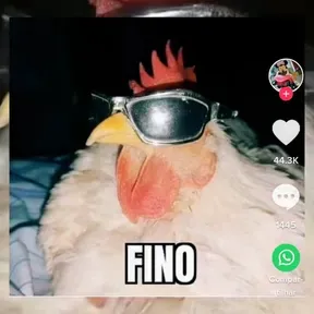 Mc poze e etc