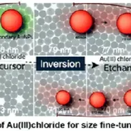 - What is a "Precursor?" -