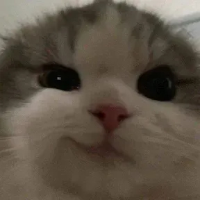 woonhakunak