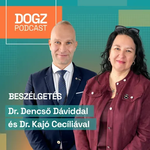 Láthatás és kutyatartási díj: mire vagy jogosult váláskor?