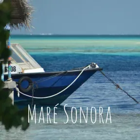Maré Sonora