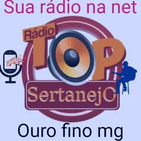 top sertanejo