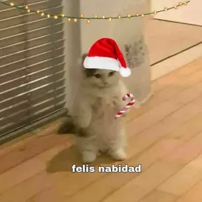 Los cachitos