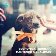 #51: Economizar dinheiro mantendo a qualidade