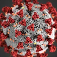 SUBIU O NÚMERO DE CASOS EM SÃO CHICO