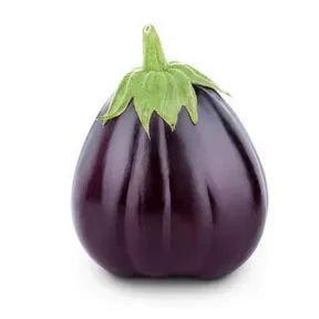 eggplant