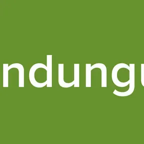 sandunguo