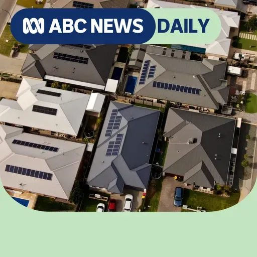 2025 Picks: Why energy giants want to control solar batteries