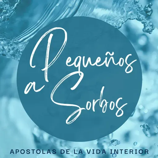 reflexiones sobre el Evangelio del jueves 26 de junio de 2025 (Mt 7, 21-29)