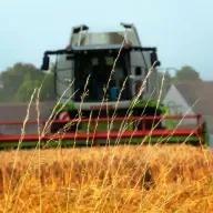 ¿Por qué no hay robots en nuestros campos? Vanessa Gracia de Oliveira nos responde