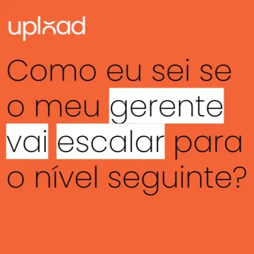 Como eu sei se o meu gerente vai escalar para o nivel seguinte? (Pergunte ao VC 333)