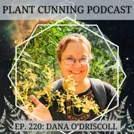 Ep. 220: Eco-Spirituality in the 21st Century with Dana O'Driscoll