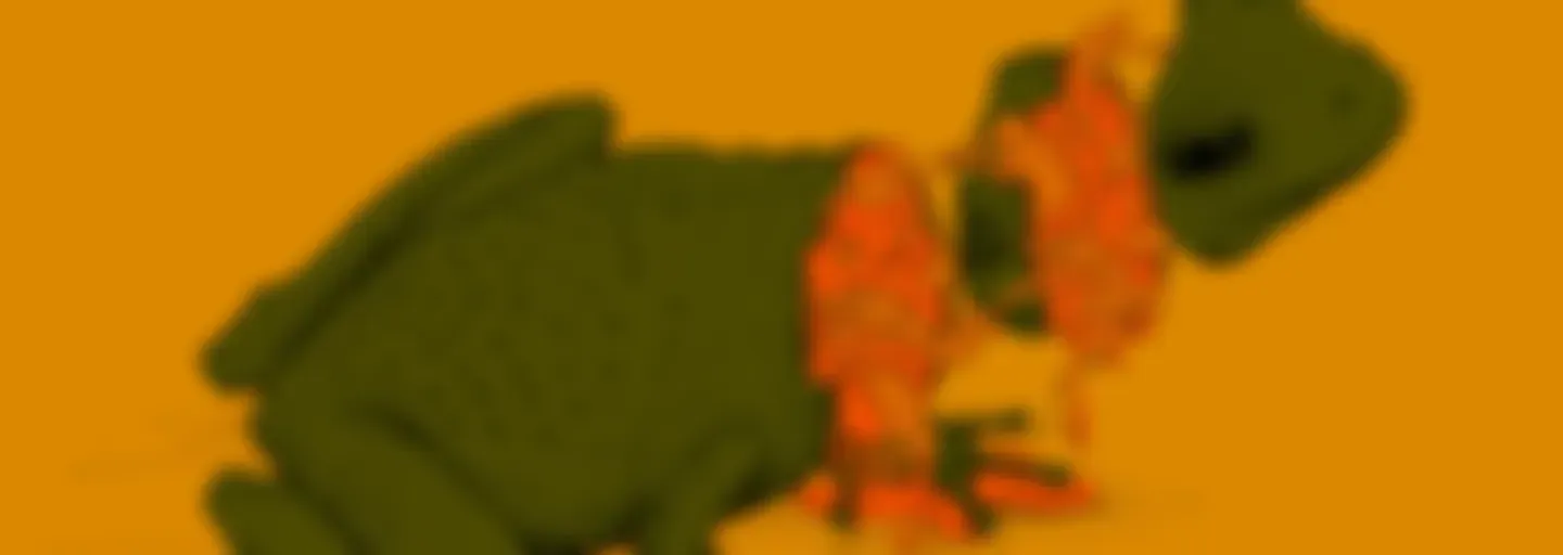 Psikiyatri ve Duvarın Ardı