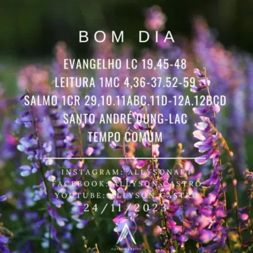 Palavra do dia - Lc 19,45-48 - 24/11/23