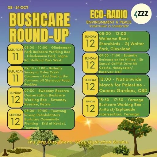 Michael Swifte - CROC