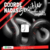 62 - Libre de culpa