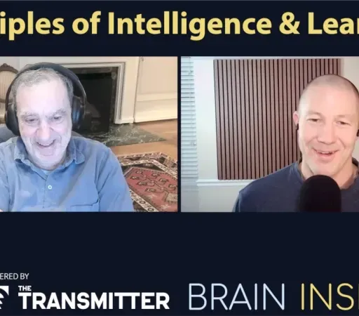 BI 229 Tomaso Poggio: Principles of Intelligence and Learning