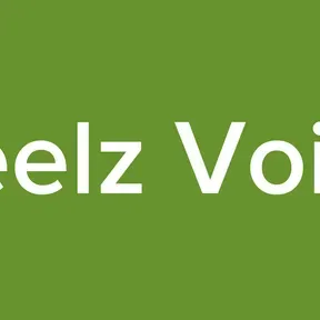 Neelz Voice