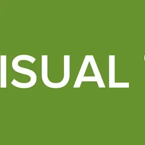 OL VISUAL TEST
