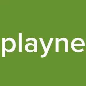playne