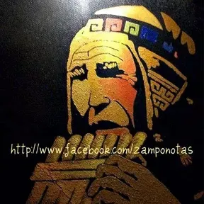Zamponotas