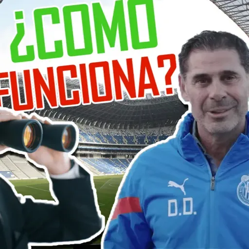 ¿Cómo funciona un equipo de futbol?