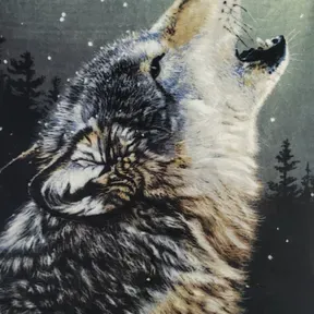 Lone Wolf Radio