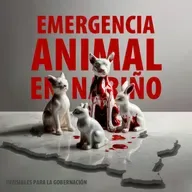 175. EMERGENCIA ANIMAL EN NARIÑO