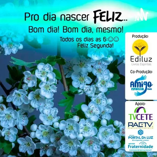Pro dia nascer Feliz... Bom dia! Bom dia, mesmo! #332