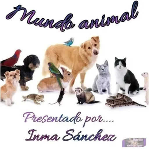 Mundo Animal # 2
