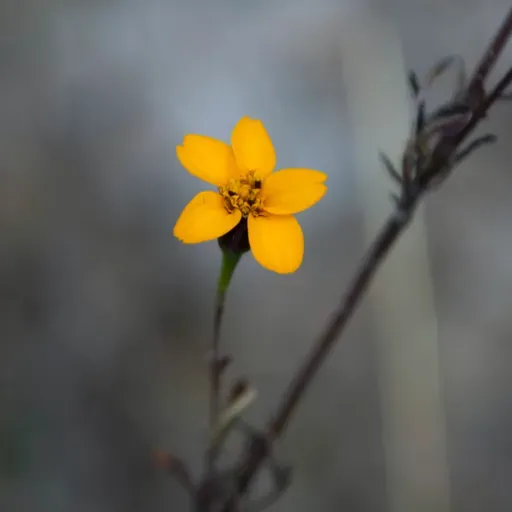 tu entorno influye en ti