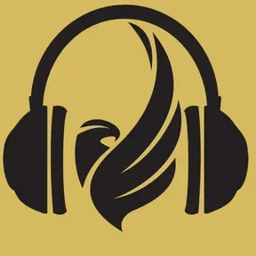 Hawk Radio